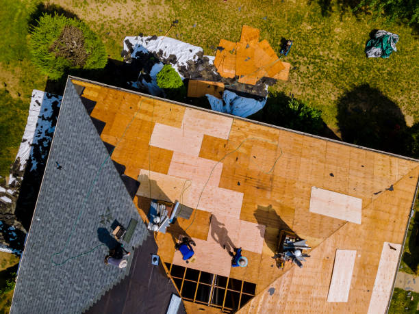 Best Roof Repair Specialists  in Gruver, TX